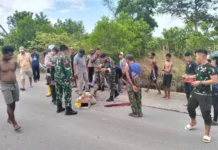 Pengendara Motor Tewas Terlindas Truk Lori di Galang Batang