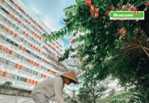 Komitmen dan Peduli Lingkungan, HARRIS Hotel Batam Center Wujudkan Program Daur Ulang Sampah Inovatif