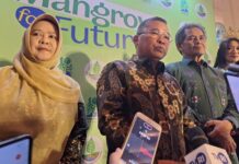 Hutan Mangrove Indonesia Terancam oleh Deforestasi