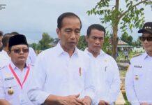 Jokowi Ungkap Penyebab RI Tidak Lagi Swasembada Pangan