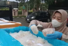 Barantin Sertifikasi Rajungan Asal Tanjungpinang Senilai Rp 5,76 Miliar