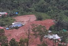 Tambang Emas Ilegal di Gorontalo Longsor: 6 Orang Tewas, 26 Hilang