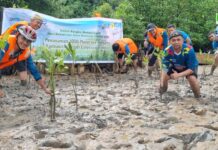 Peduli Lingkungan, PLN Batam Tanam 1.000 Pohon Mangrove di Pantai Nongsa