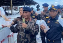 BC Batam Gagalkan Penyelundupan Benih Lobster Terbesar