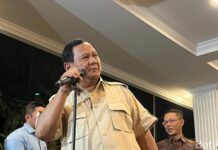 Prabowo Yakin RI Bisa Jadi Lumbung Pangan Dunia