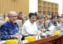 DPR RI Sahkan Pagu Anggaran 2025, BP Batam Fokus Kembangkan Kawasan Investasi Baru