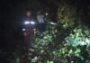 30 Titik Lokasi Pohon Tumbang saat Angin Kencang di Batam