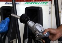 Mobil Pengguna Pertalite Bakal Divalidasi Pakai Data Korlantas