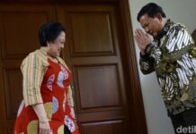 Mereka Bersuara soal Kans PDIP Gabung Pemerintahan Prabowo-Gibran