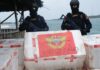 BC Kembali Gagalkan Penyelundupan 275.000 Benih Lobster ke Luar Negeri