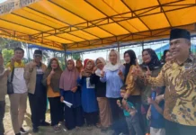 Cen Sui Lan Perhatikan Jalan dan Telekomunikasi di Pulau Laut