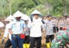 Dukung Ketahanan Pangan, Lahan Pertanian di Batam Ditanami Jagung