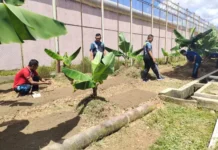 Lapas Narkotika Tanjungpinang Bekali Skill Warga Binaan
