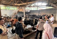 Peternak Demo Buang Susu, Satgas Pangan Polri Turun Tangan