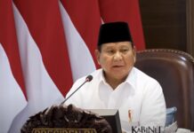 2 Alasan Prabowo Keukeuh PPN 12% Tetap Berlaku