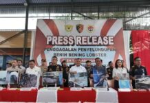 Polri Gagalkan Penyelundupan 151 Ribu Benih Lobster di Perairan Bintan