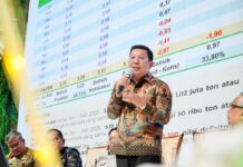 Bansos Beras Dihentikan Sementara demi Stabilkan Harga Gabah