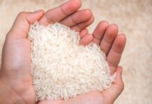 Filipina Umumkan Darurat Pangan,Ini Kata Pemerintah RI