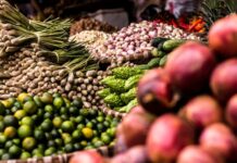 30 Persen Kebutuhan Pangan Kepri Ditargetkan Dipenuhi dari Produksi Lokal