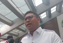 Pemerintah Panggil 1.200 Perusahaan Penggilingan Padi untuk Stabilkan Harga Gabah
