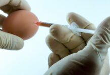 Ayah di Bekasi Perkosa Anak 20 Kali, Veronica Tan Singgung Hukuman Kebiri