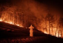 Kebakaran Hutan Terbesar dalam Sejarah Korsel, Korban Tewas Bertambah Jadi 26 Orang