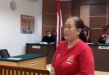 IRT Dihukum 1,2 Tahun Gegara Jual Koyo secara Online