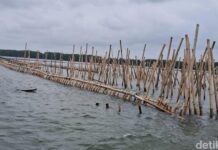 4 Fakta Perkara Pagar Laut Bekasi Jerat 9 Tersangka