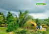 BP Batam Tegaskan Penertiban Lahan di Tanjung Banon Sesuai Prosedur Hukum