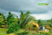 BP Batam Tegaskan Penertiban Lahan di Tanjung Banon Sesuai Prosedur Hukum