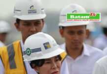 Wakil Kepala BP Batam Tinjau Persiapan Pengoperasian 4 STS Crane dari China