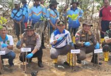Anggota DPRD Kota Batam Ikut Tanam Manggrove di Pantai Tanjung Bemban