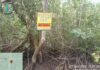 Warga Sugie Resah Menyusul Keluarnya SKPT saat Persoalan Mangrove yang Masih Menggantung