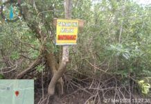 Warga Sugie Resah Menyusul Keluarnya SKPT saat Persoalan Mangrove yang Masih Menggantung