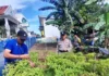 Tanami Aneka Tumbuhan, Polsek Bulang Kembangkan Lahan Menjadi Produktif