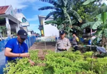 Tanami Aneka Tumbuhan, Polsek Bulang Kembangkan Lahan Menjadi Produktif