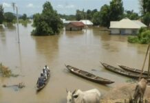 Pilu 150 Orang Tewas Akibat Banjir Bandang di Nigeria