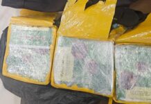 Bareskrim Tangkap 2 Orang Terkait Sabu Jaringan Malaysia di Lampung-Jakarta