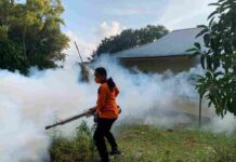 DBD di Tanjungpinang Melonjak, Dinkes Lakukan Fogging