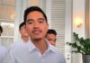 Kaesang Pastikan Jokowi Tak Daftar Caketum PSI: Anak-Bapak Nggak Mungkin Kompetisi
