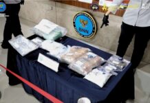 BNNP Kepri Musnahkan 7 Kg Lebih Narkotika