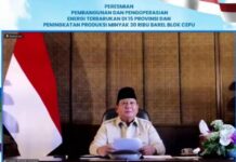 Prabowo Resmikan Pembangkit Listrik EBT di 15 Provinsi Senilai Rp 25 T
