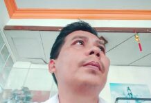 Penjualan Lahan Mangrove secara Diam-Diam: Bencana Ekologis di Balik Sporadik dan Solusinya