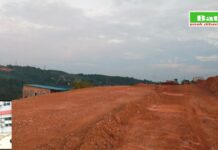 Sepuluh Bulan Laporan Mengendap, Eduard Kamalleng SH Kecewa Dumas Dugaan Perusakan Hutan Lindung Jalan Pramuka Dilimpahkan Ke DLHK Kepri