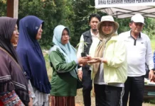 Gubernur Kepri Bagikan 45 Ribu Bibit Cabai untuk Ditanam di Pekarangan Rumah