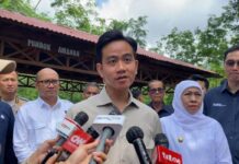 Gibran Akan Berkantor di Papua, Dapat Penugasan Khusus dari Prabowo