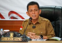 Gubernur Ansar Akui Penyesuaian Tarif Listrik Tidak Bisa Dihindari
