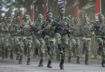 TNI Rekrut Total 34.520 Prajurit Buat Ketahanan Pangan