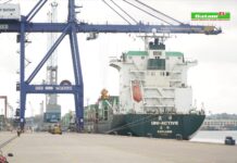 BP Batam Bukukan Kinerja Positif Pelabuhan Sepanjang Semester I 2025