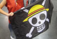 Suara Terdalam Veteran di Tengah Maraknya Bendera One Piece